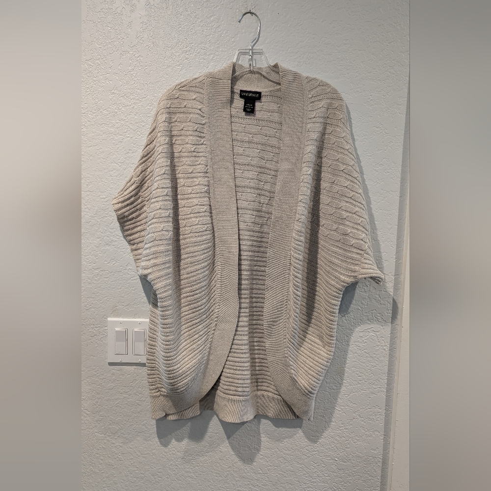 Lane Bryant Cozy Beige Sweater